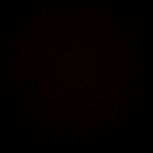 Meet your Posher, Lili